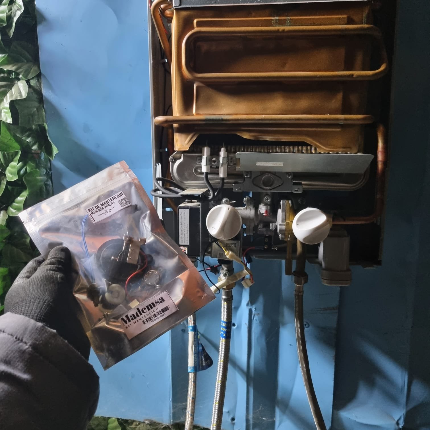 Reparación Ionizado 10