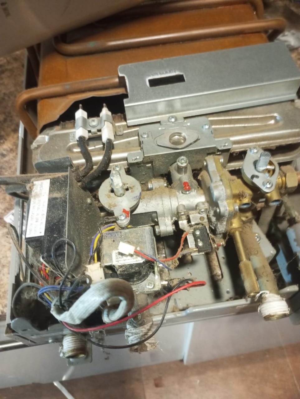 Reparación Ionizado 4