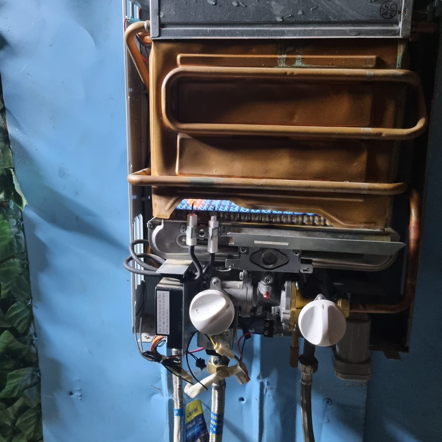 Reparación Ionizado 7